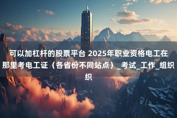 可以加杠杆的股票平台 2025年职业资格电工在那里考电工证（各省份不同站点）_考试_工作_组织