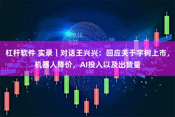 杠杆软件 实录｜对话王兴兴：回应关于宇树上市，机器人降价，AI投入以及出货量